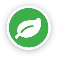 Green Leaf Icon