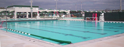 Pool of Gulf Coast University Ft Myers