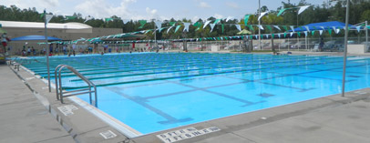 Pool of New Tampa YMCA